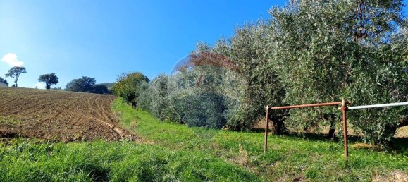 1 room Land in Serra San Quirico, Italy No. 6025 9