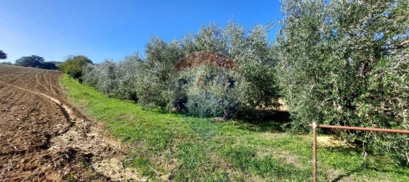 1 room Land in Serra San Quirico, Italy No. 6025 10