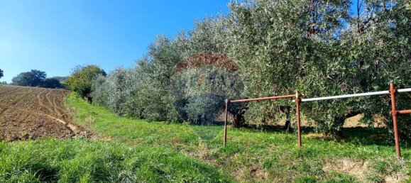 1 room Land in Serra San Quirico, Italy No. 6025 2
