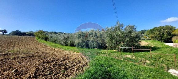 1 room Land in Serra San Quirico, Italy No. 6025 5