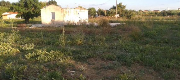 Hotel in Zakynthos, Greece, Nr. 791 6