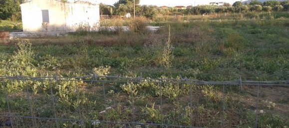 Hotel in Zakynthos, Greece, Nr. 791 4