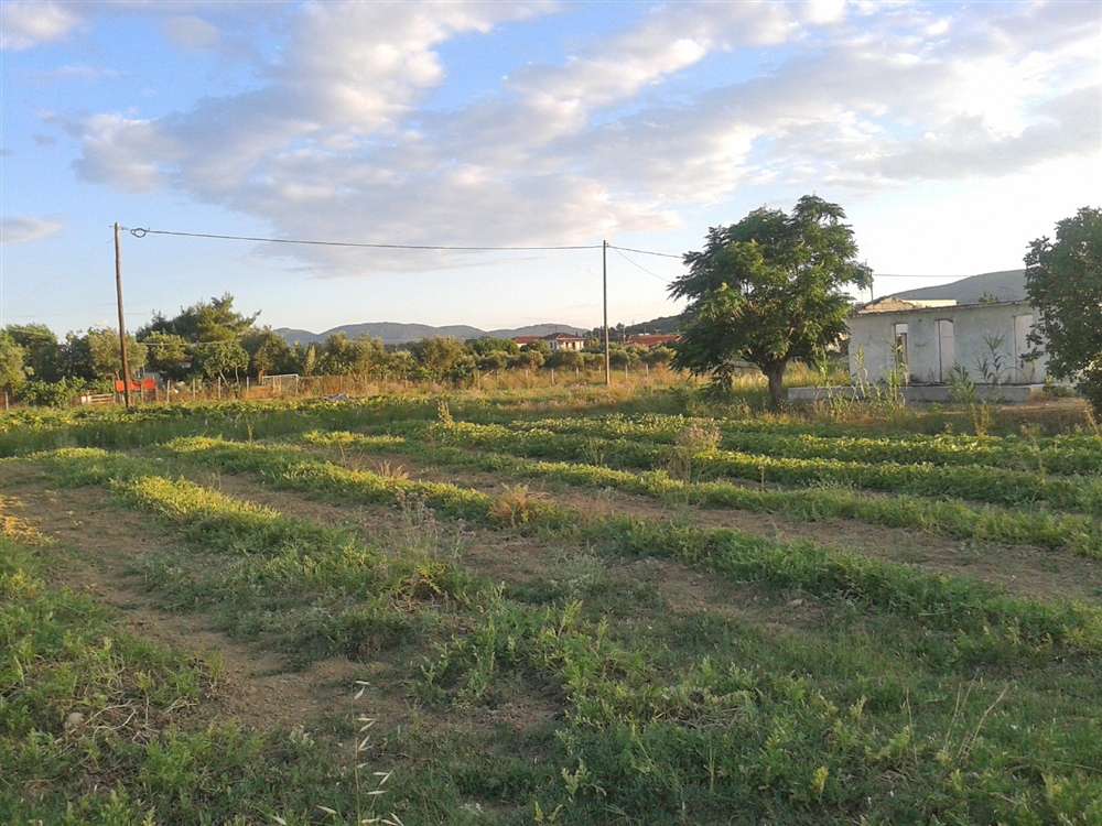  Land in Zakynthos, Greece No. 791