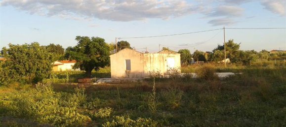 Hotel in Zakynthos, Greece, Nr. 791 7