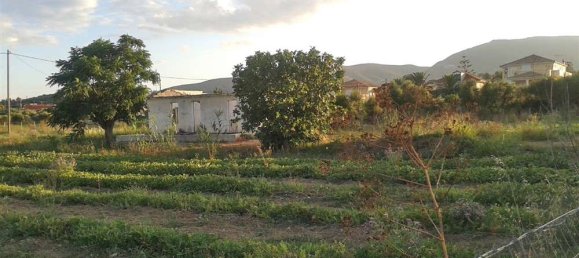 Hotel in Zakynthos, Greece, Nr. 791 8