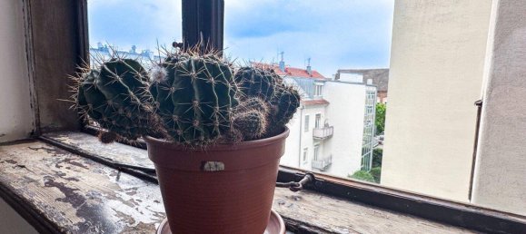 Studio in Rudolfsheim-Funfhaus, Austria No. 173537 12