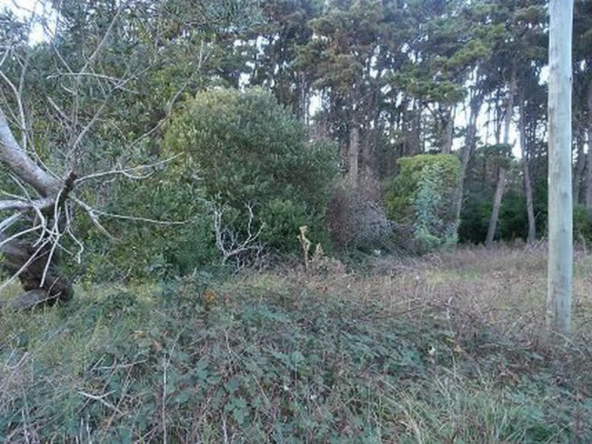  Land in Mar del Plata, Argentina No. 115695