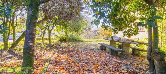 3 chambres Maison à Carrazedo, Portugal No. 167521 26