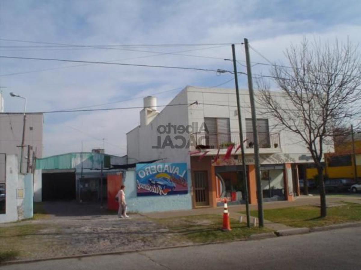  Commercial property in Campo Creado, Argentina No. 24138