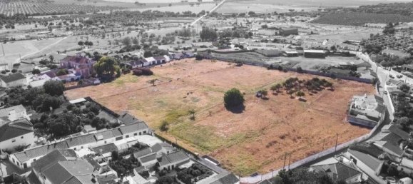 20 Schlafzimmer Haus in Cano, Portugal, Nr. 144069 10