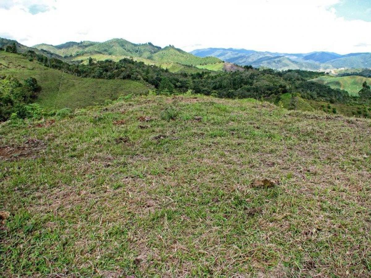 Земельный участок в Антьокия, Колумбия № 266