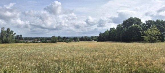 4 rooms House in Markisch-Oderland, Germany No. 263090 11