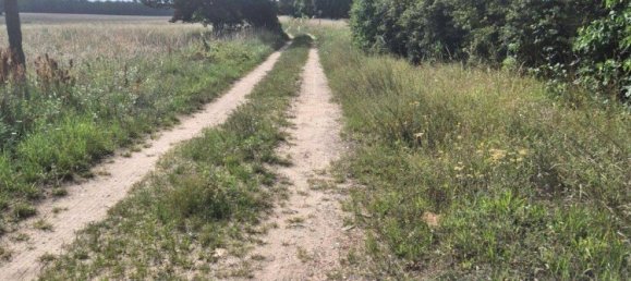 4 rooms House in Markisch-Oderland, Germany No. 263090 13