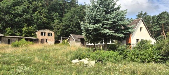 4 rooms House in Markisch-Oderland, Germany No. 263090 12