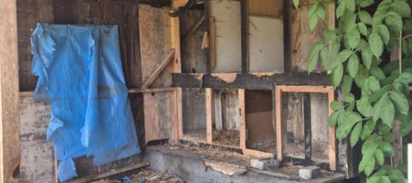 4 rooms House in Markisch-Oderland, Germany No. 263090 10