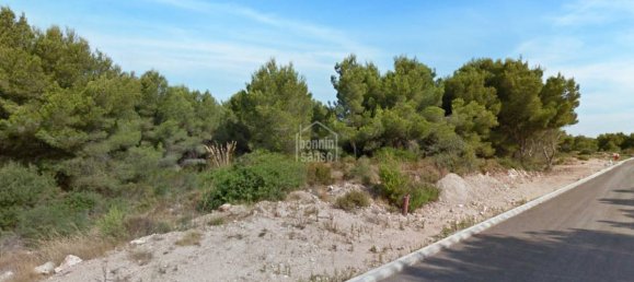 Grundstück in Es Mercadal, Spain, Nr. 3882 2