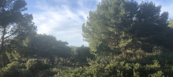 Grundstück in Es Mercadal, Spain, Nr. 3882 6