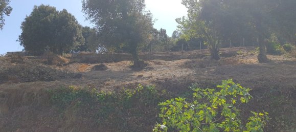 Grundstück in Sartene, France 2076m², Nr. 91363 2