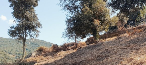 Grundstück in Sartene, France 2076m², Nr. 91363 4