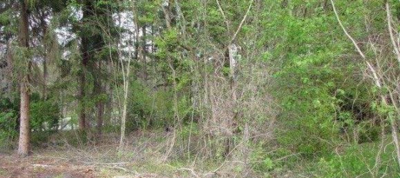 Земельный участок в Харбург, Германия № 357581 2