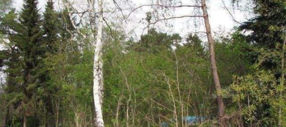 Земельный участок в Харбург, Германия № 357581 3