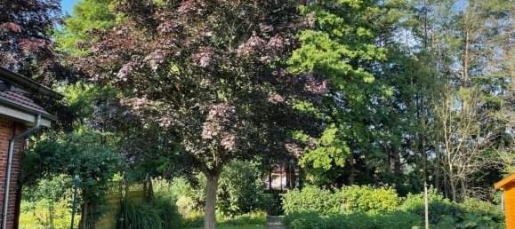 Дом с 9 комнатами в Нинбург, Германия № 281810 7