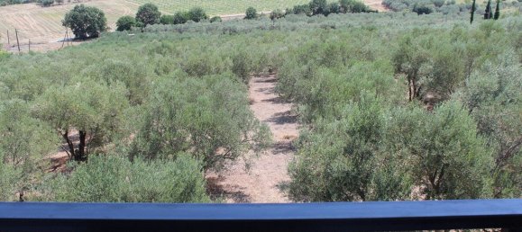 Propriedade comercial de 5 divisões em Methoni, Greece N.º 3536 17