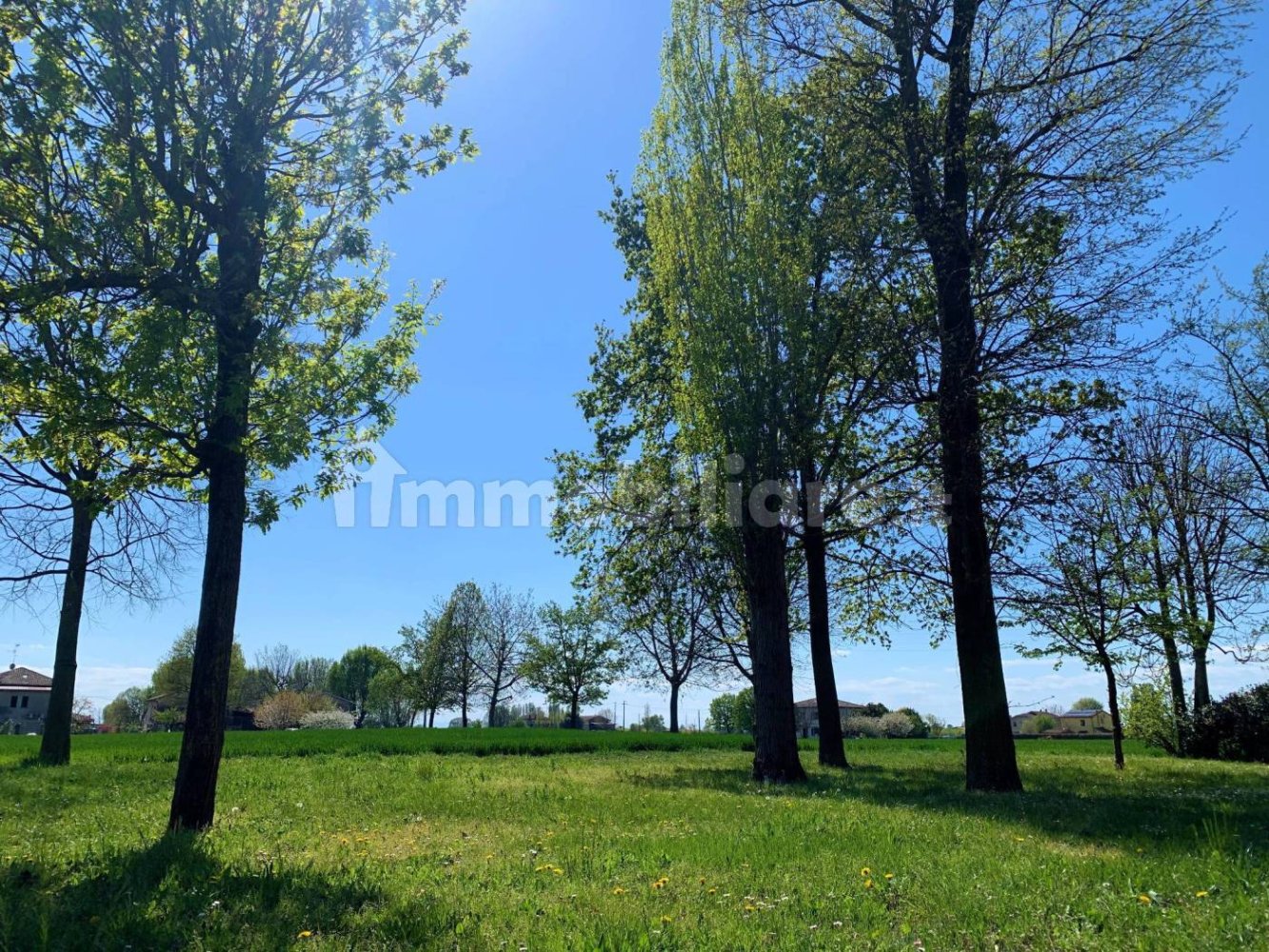 4 Schlafzimmer Villa in Cento, Italy, Nr. 133906