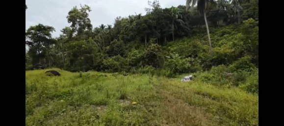 Land in Wiang Sa, Thailand No. 58405 3