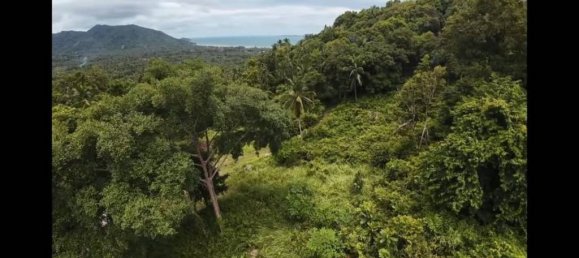 Land in Wiang Sa, Thailand No. 58405 5