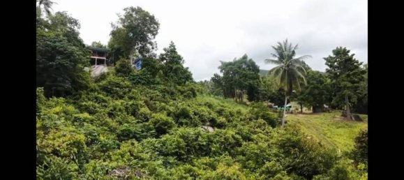 Land in Wiang Sa, Thailand No. 58405 4