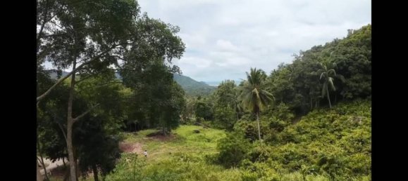 Land in Wiang Sa, Thailand No. 58405 6