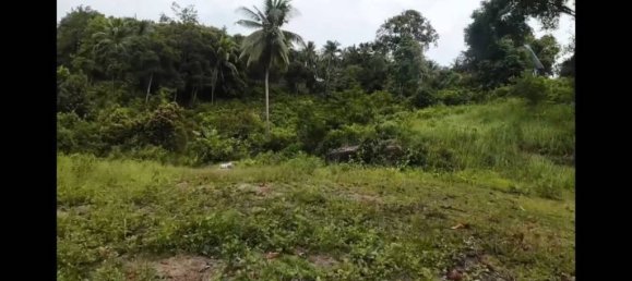 Land in Wiang Sa, Thailand No. 58405 2