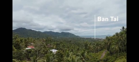 Land in Wiang Sa, Thailand No. 58405 8