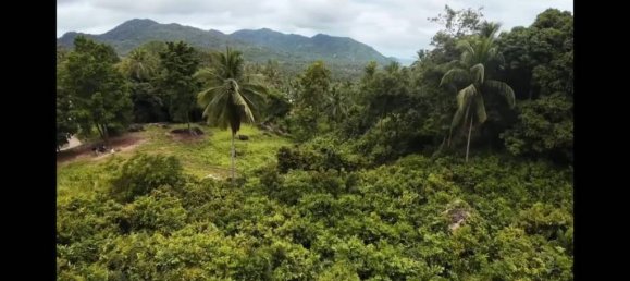 Land in Wiang Sa, Thailand No. 58405 7