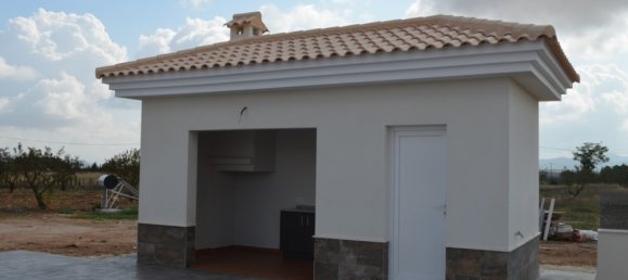 4 Schlafzimmer Villa in Pinoso, Spain, Nr. 8650 22