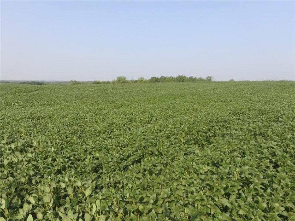  Land in Gilman City, USA No. 501945