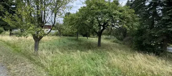 Granja de 8 habitaciónes en Sachsische Schweiz-Osterzgebirge, Germany No. 345372 7