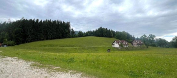 Grundstück in Hollenstein an der Ybbs, Austria, Nr. 256726 5