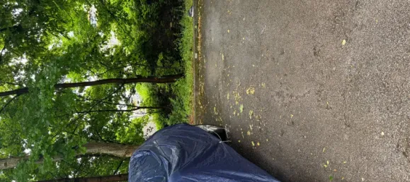 1 غرف نوم شقة في Munich, Germany رقم 219860 26