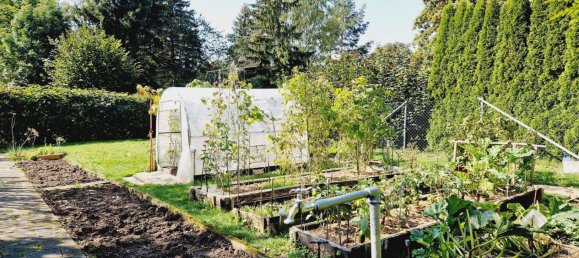 2 rooms Bungalow in Chemnitz, Germany No. 363566 9