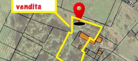 10 rooms House in Montechiaro d'Asti, Italy No. 264917 37