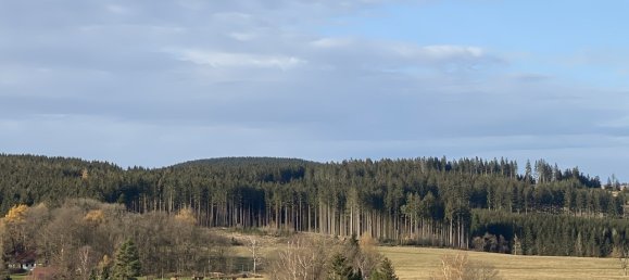 5 bedrooms House in Gotha, Germany No. 183845 31