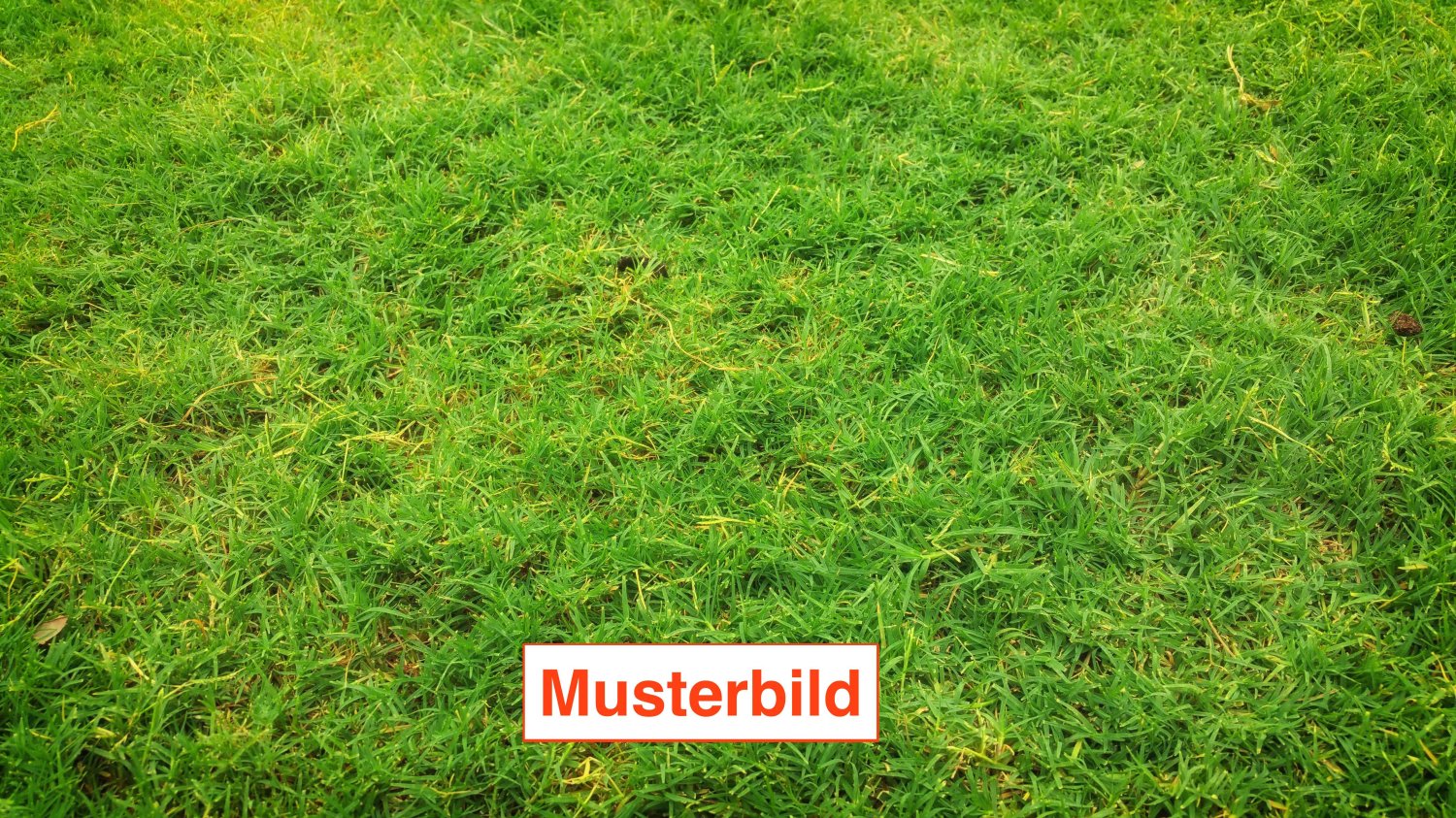 Terreno em Wetteraukreis, Germany N.º 315836