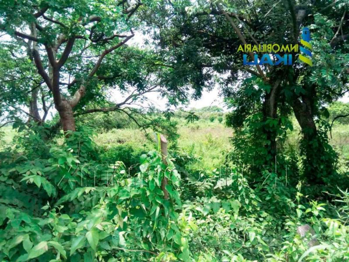  Land in Veracruz, Mexico No. 204453