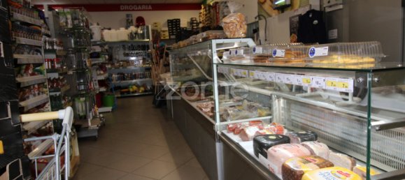 800m² Commercial property in Sao Bartolomeu de Messines, Portugal No. 65916 4