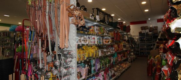 800m² Commercial property in Sao Bartolomeu de Messines, Portugal No. 65916 6