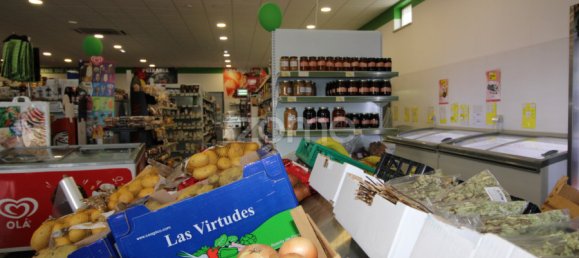 800m² Commercial property in Sao Bartolomeu de Messines, Portugal No. 65916 3