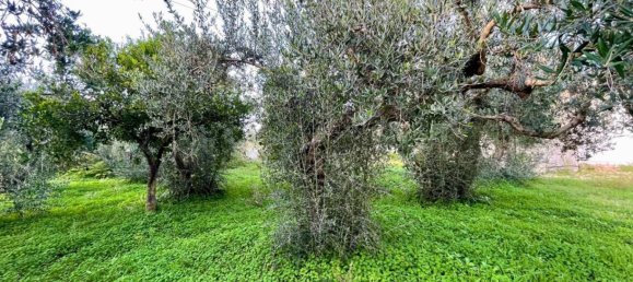 Дом с 4 спальнями в Кастелламмаре дель Гольфо, Италия № 272491 59