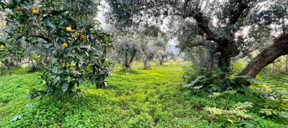 Дом с 4 спальнями в Кастелламмаре дель Гольфо, Италия № 272491 41